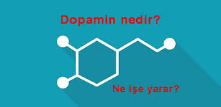 Mutluluk Hormonu Dopamin